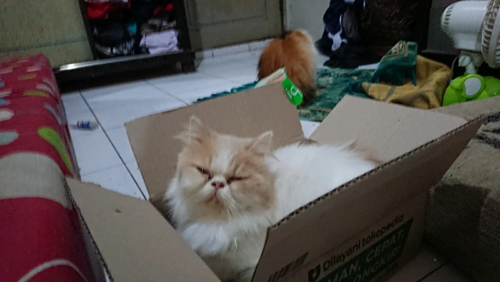 Gambar diunggah oleh Moch ali