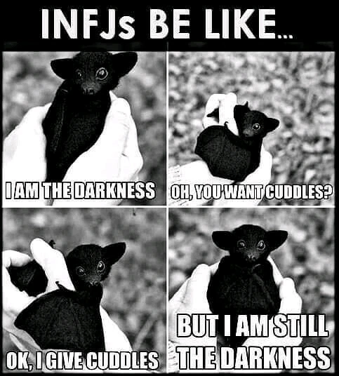 Prefer to be mysterious & cute 🌚