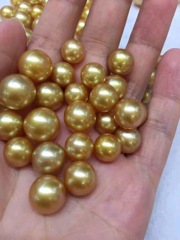 Gambar diunggah oleh EVi ViE Gemini