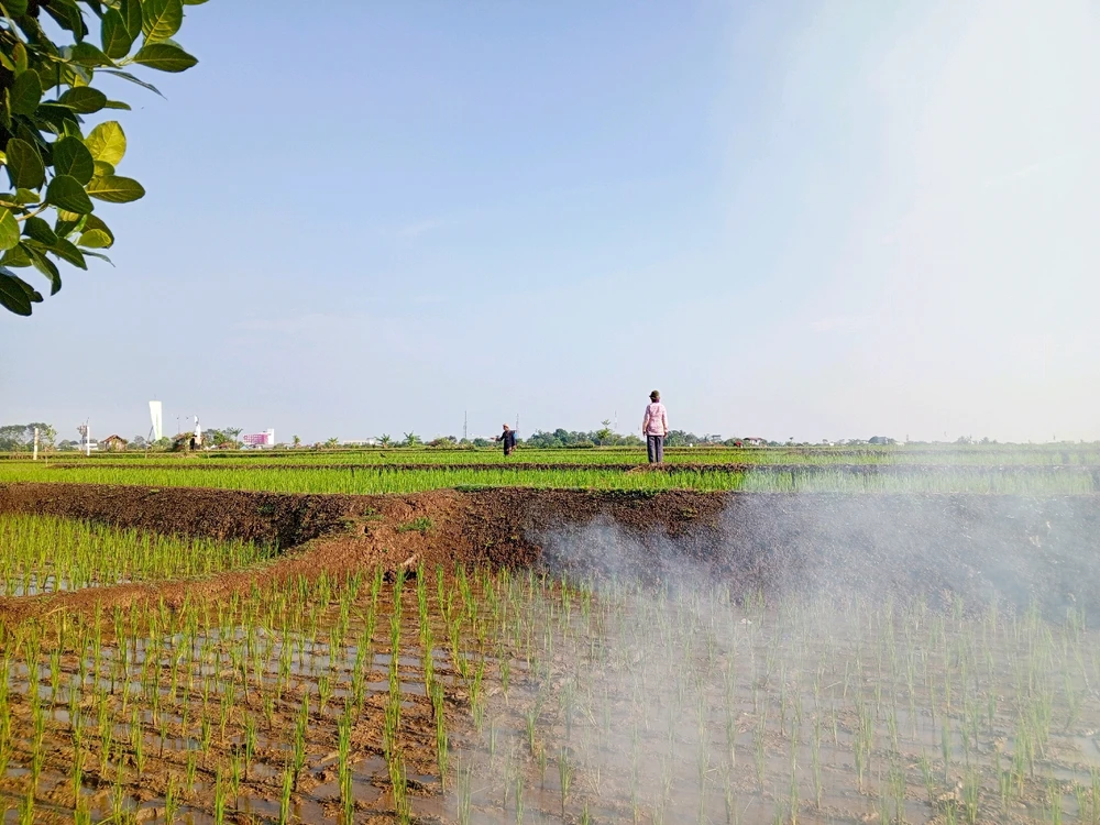 Gambar diunggah oleh EkayuGu