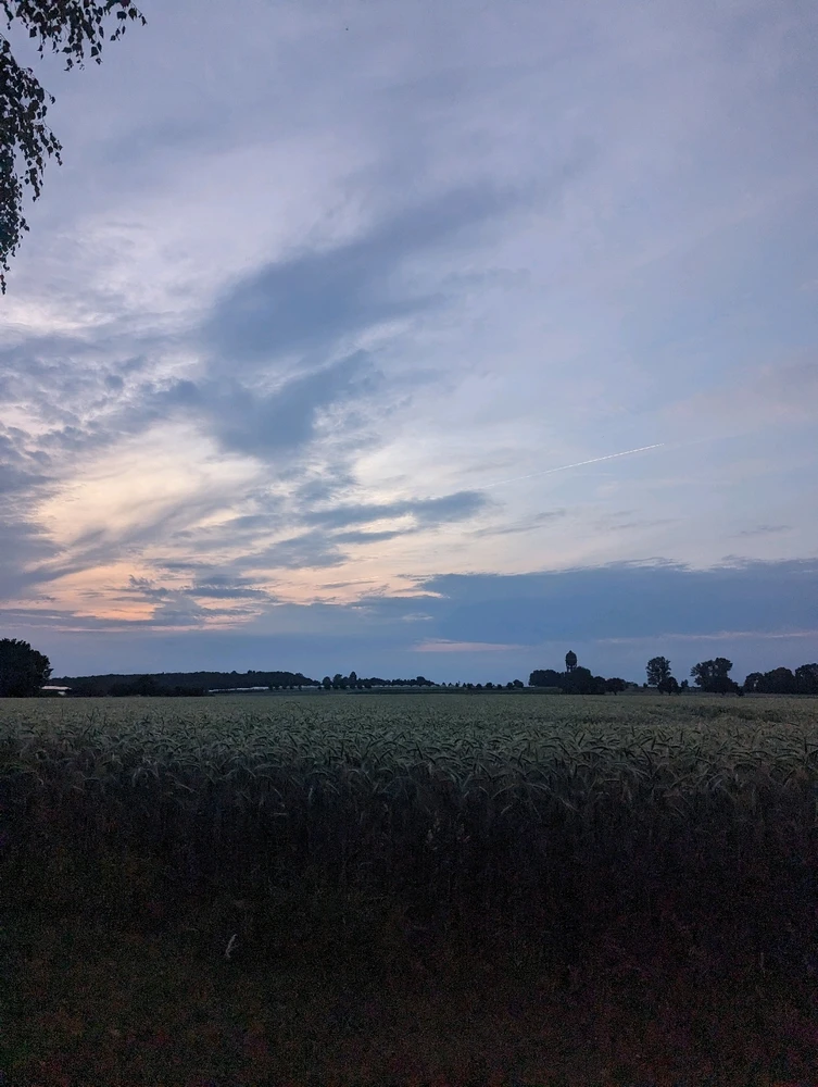 Bild hochgeladen von Mina