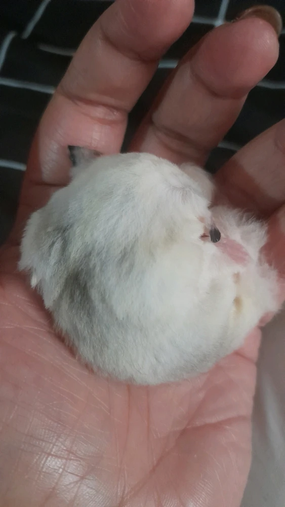 Image uploaded by Bella