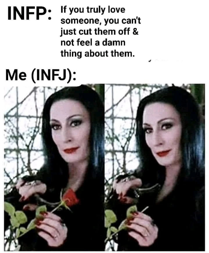 INFJ Door Slam 🌚🌝🤍
