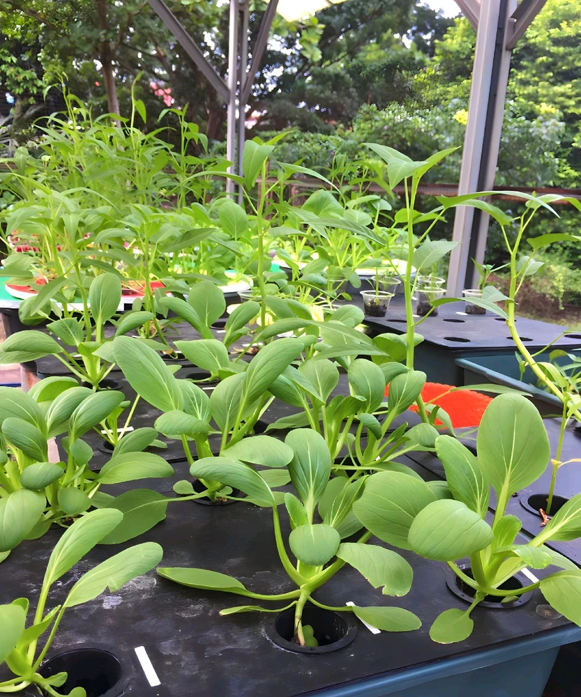 Gambar diunggah dening Sunnysp