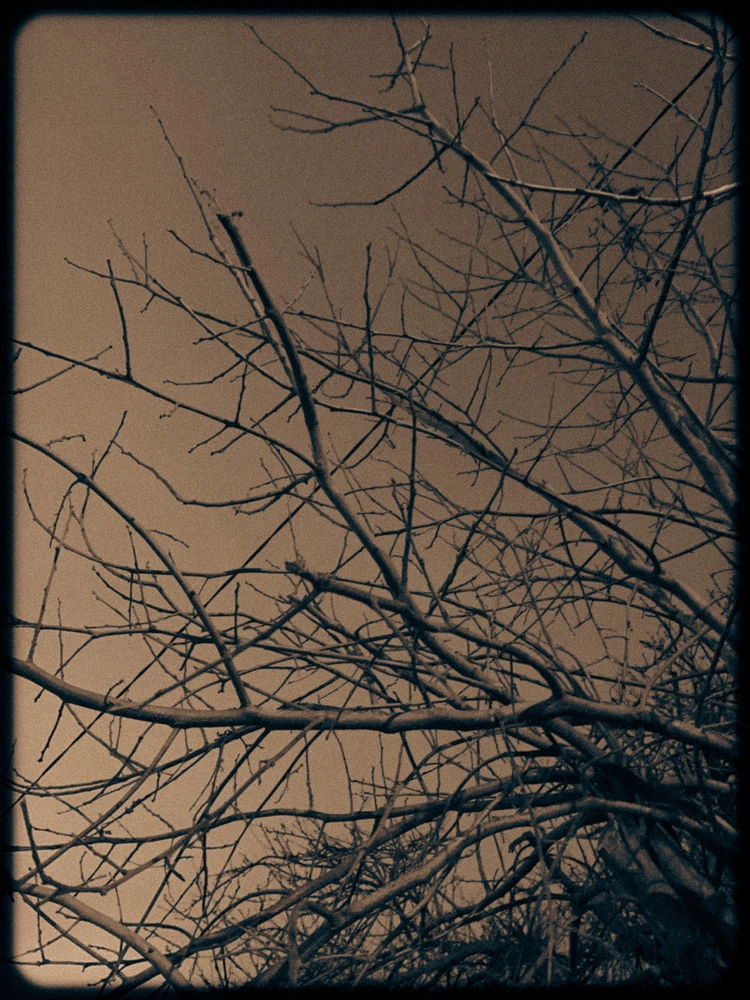 Image uploaded by Alo