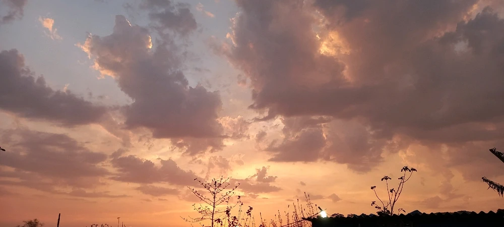 Image uploaded by Anupam