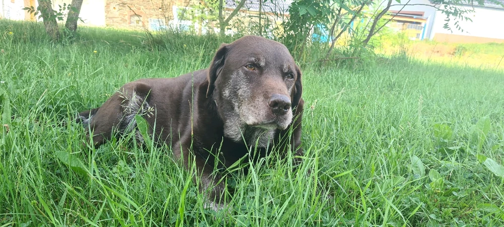 Bild hochgeladen von Mikey