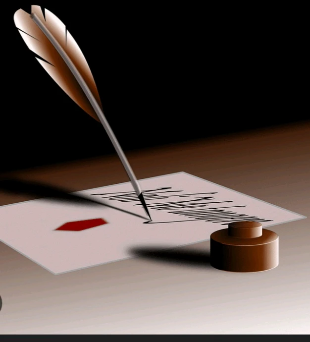 Image ajoutée par Esadora André