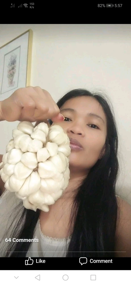 Berna GarcesTilos上傳的圖片