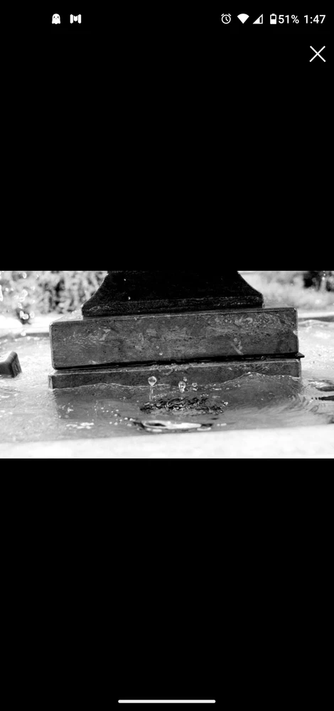 Water drops and my shuattaer speed is 1/8000 of a second. I had never taken this type of pic before, it came out better than.