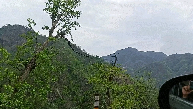 由Vivek Chauhan上传的图片