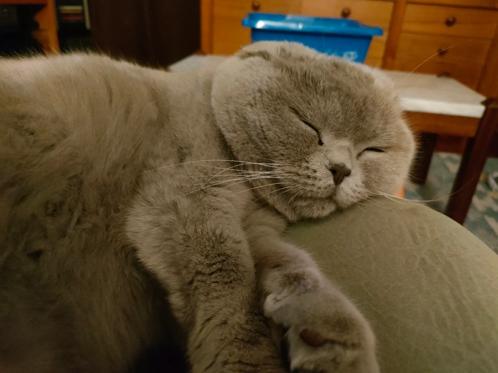 Imagem enviada por Guilherme Baptista