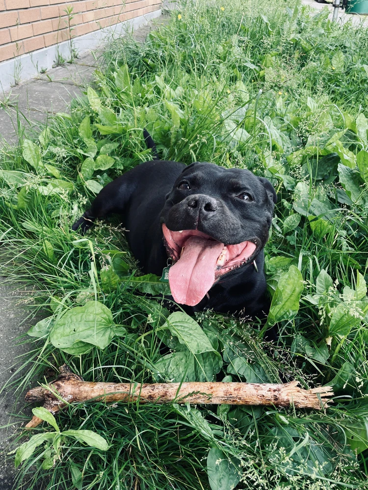 Image uploaded by Łukasz