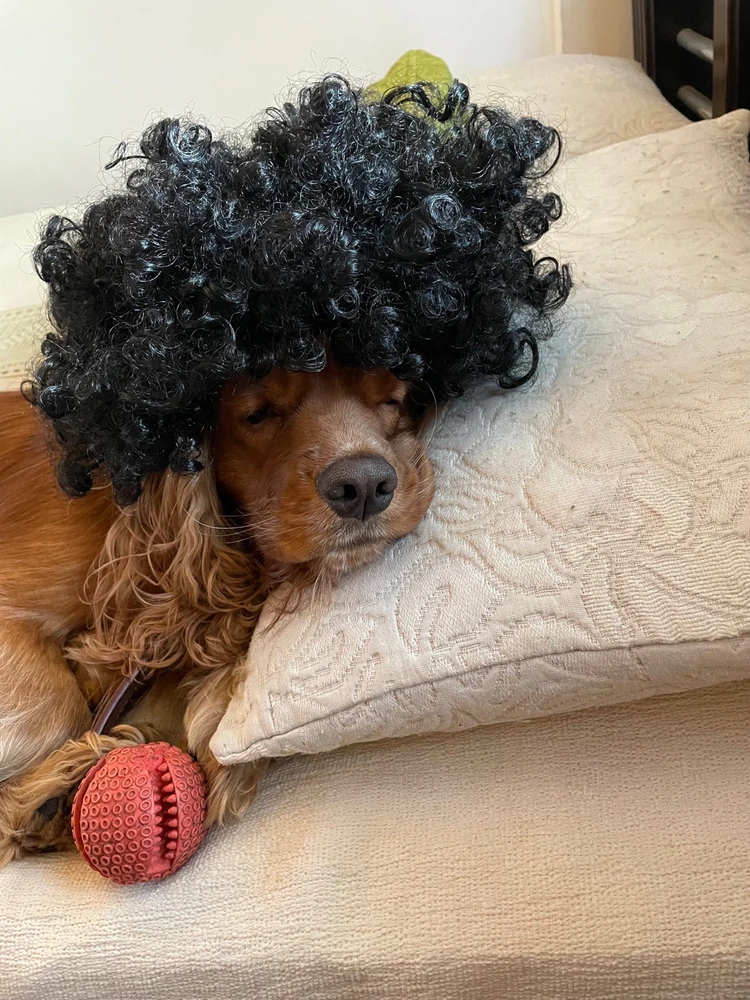 Imagen subida por Luisfer