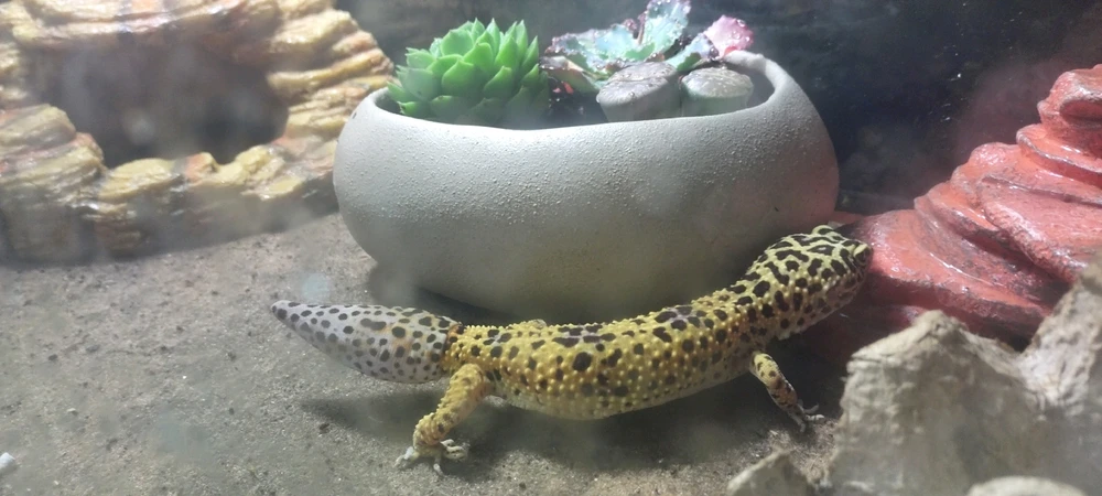 Image uploaded by Andrea