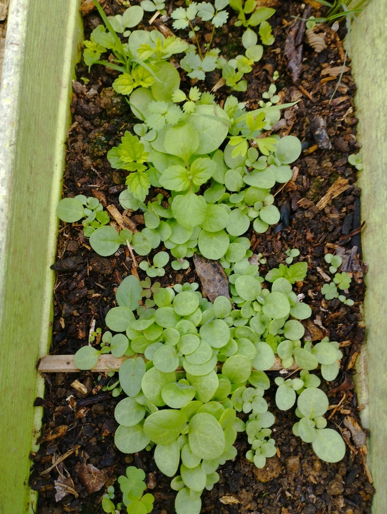 Image ajoutée par Dorian🐞