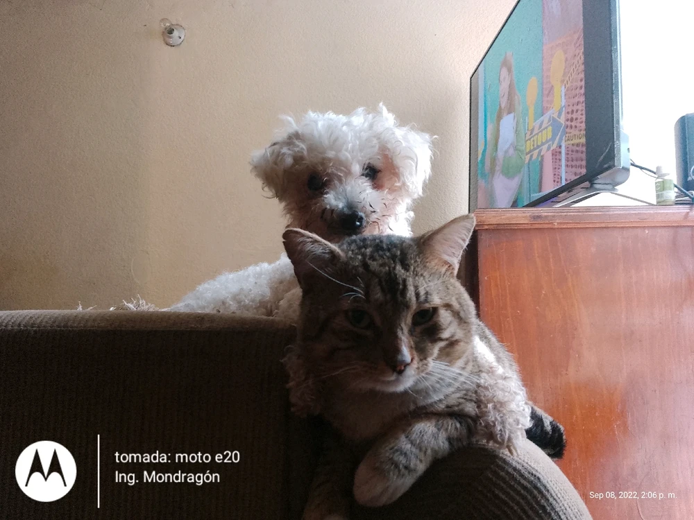 Imagen subida por Arthur