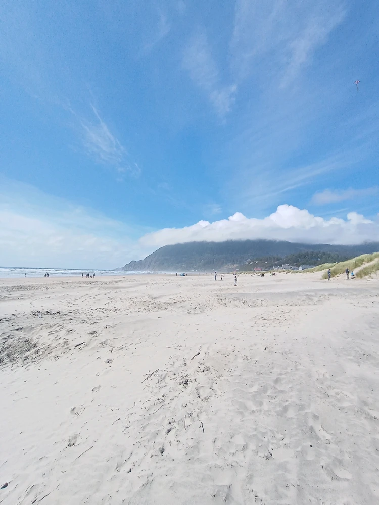 Image uploaded by Kise