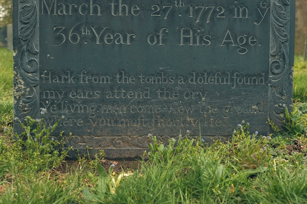 Image uploaded by Bill