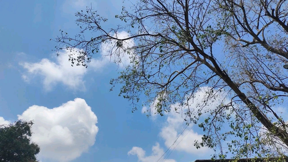 Image uploaded by Lily