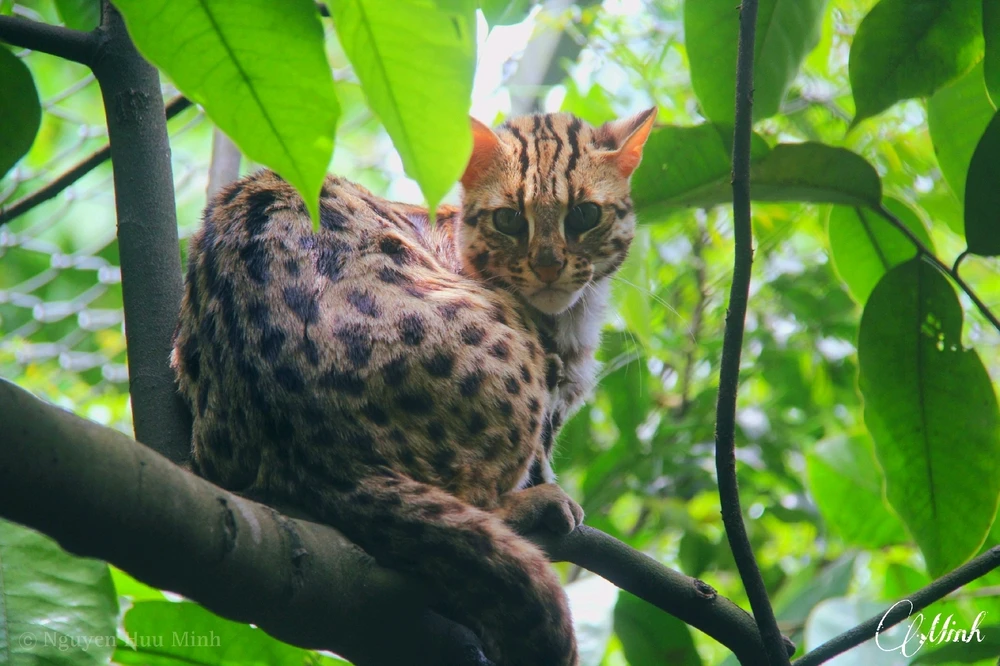 Image uploaded by Minh