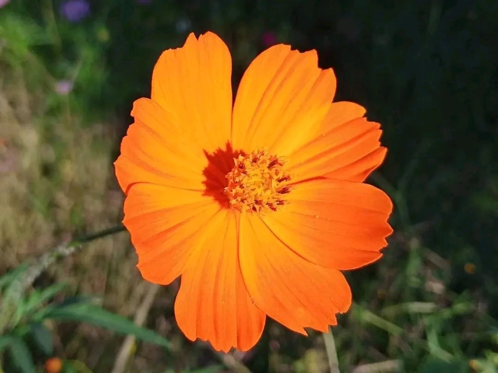 Imagen subida por Mau I✌️