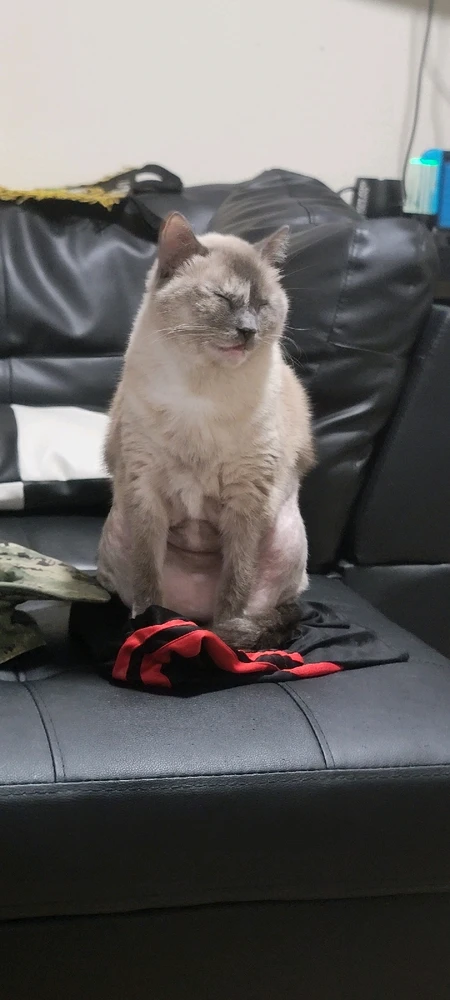 Image uploaded by Xan