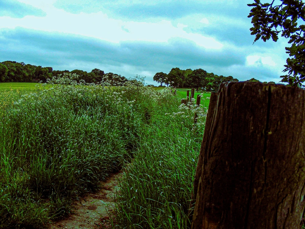 Image uploaded by Ethan