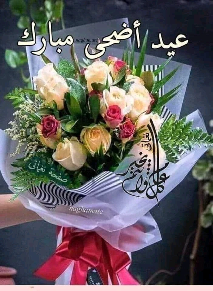 صورة رفعها Khemais