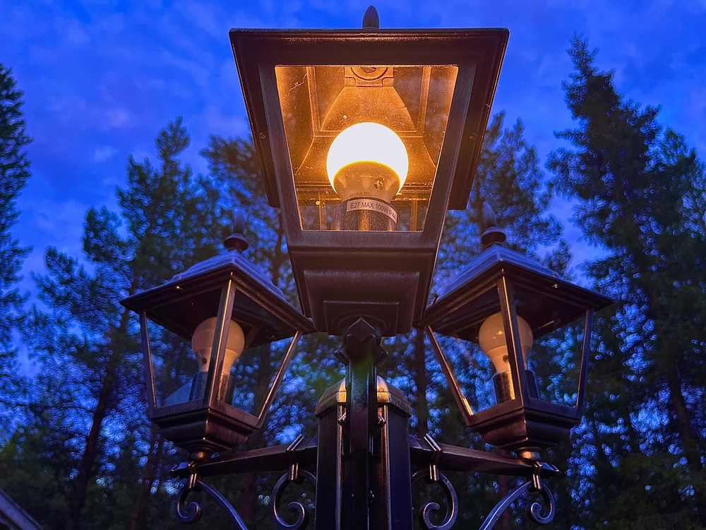 Image uploaded by Robin