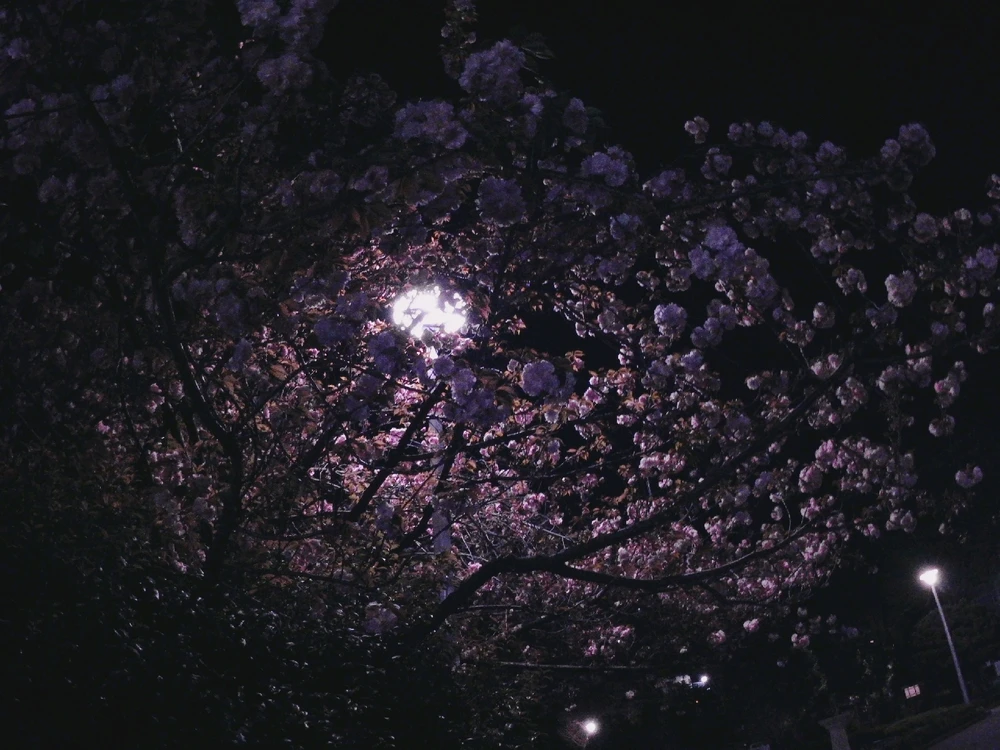 Image uploaded by Alexx