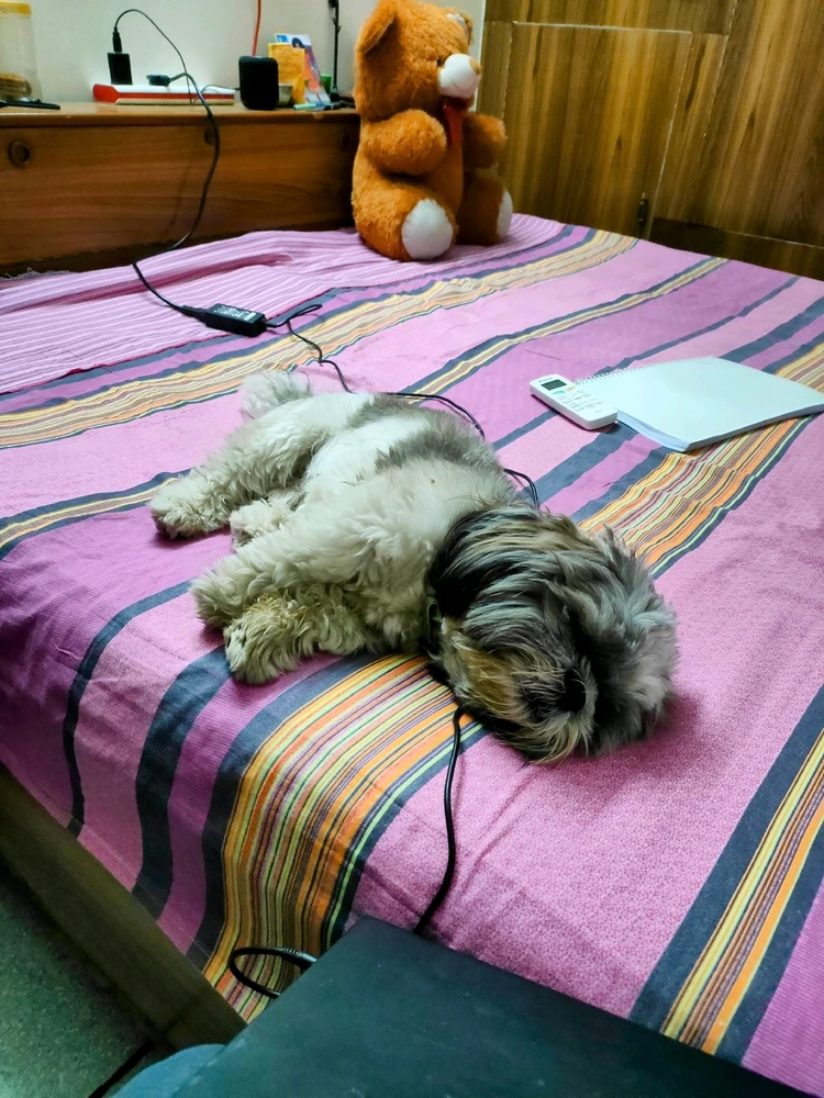Image uploaded by Shishir