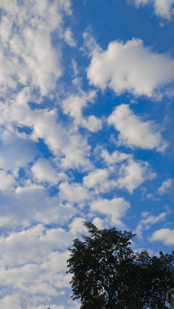 صورة رفعها Aozora