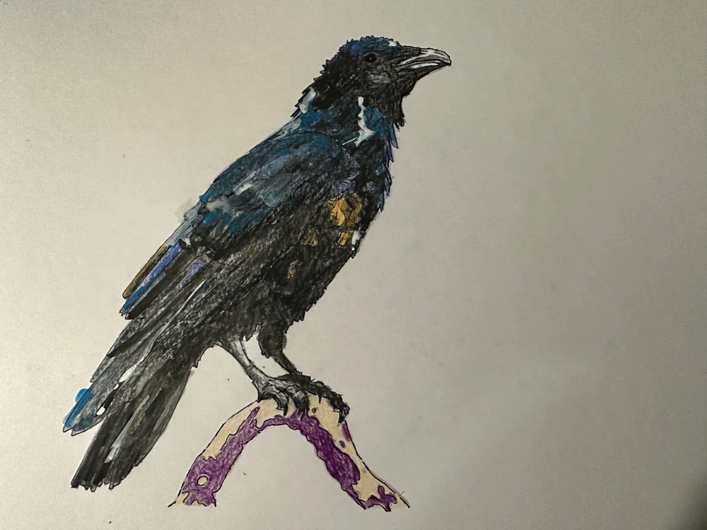 Image uploaded by Chris