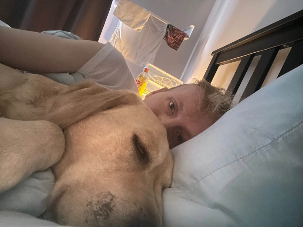 Guten Morgen 