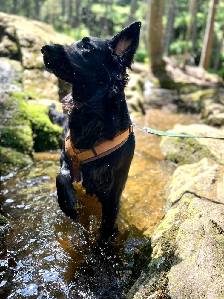 Bild hochgeladen von Eva