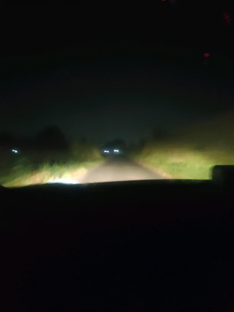 Gustiがアップロードした画像