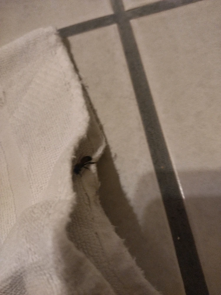 Imagen subida por Antonio