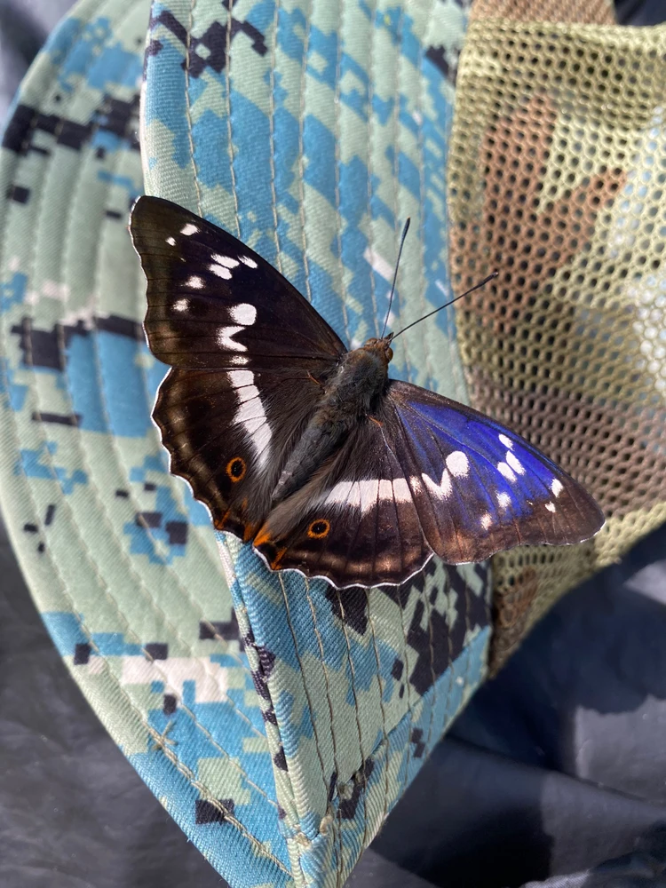 Фото загрузил Денис