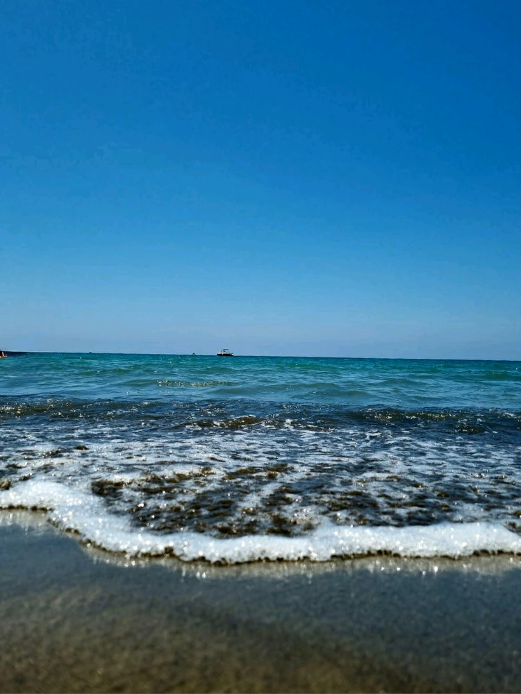 Image uploaded by Arda