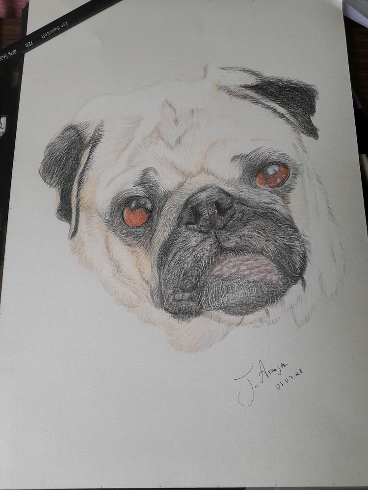 Imagem enviada por Jeferson