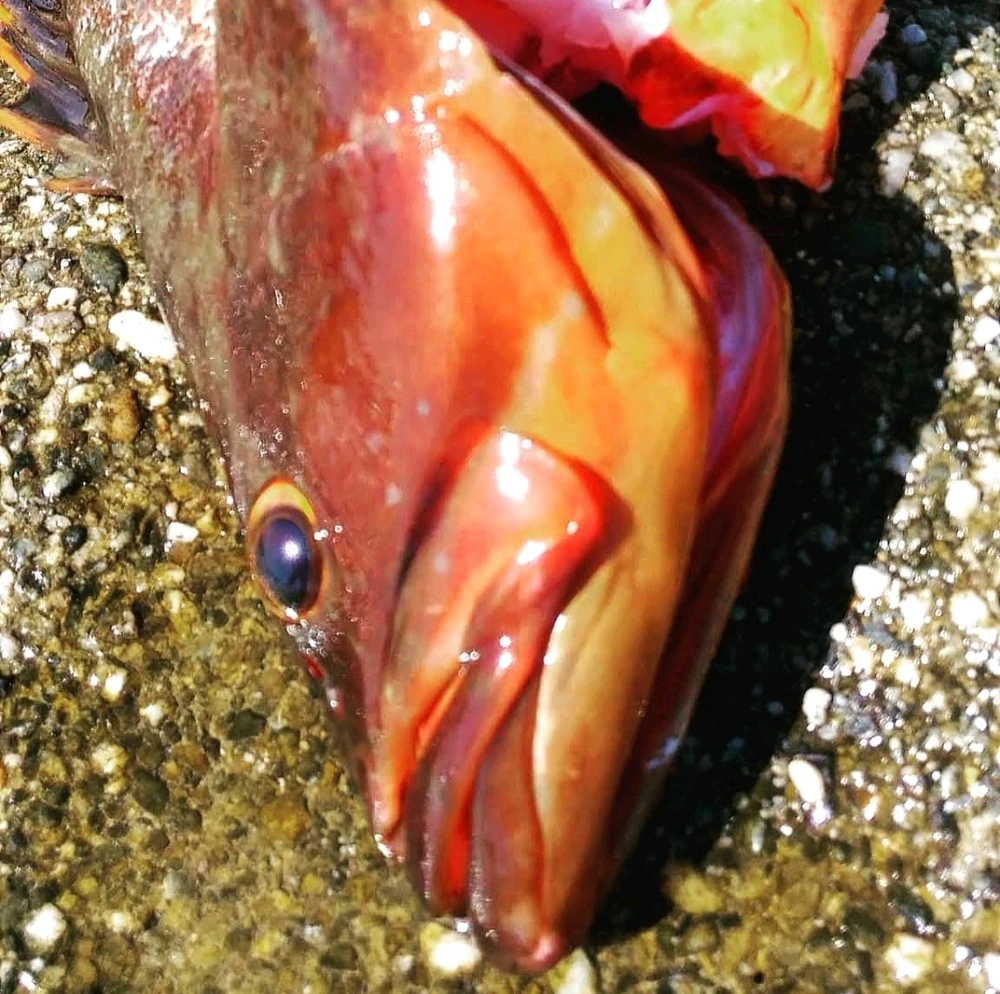 Image uploaded by Aquarius®