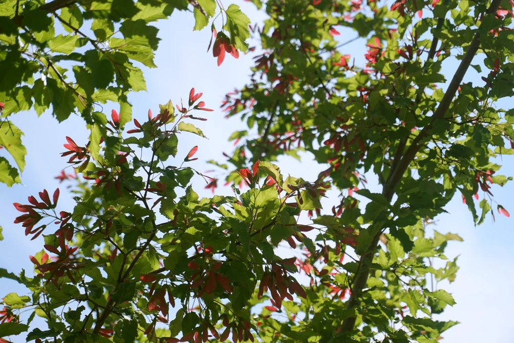 Фото загрузил Adilkhan