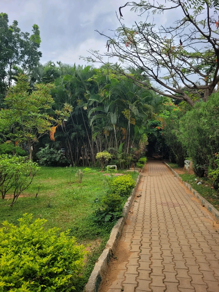Image uploaded by Chaitanya
