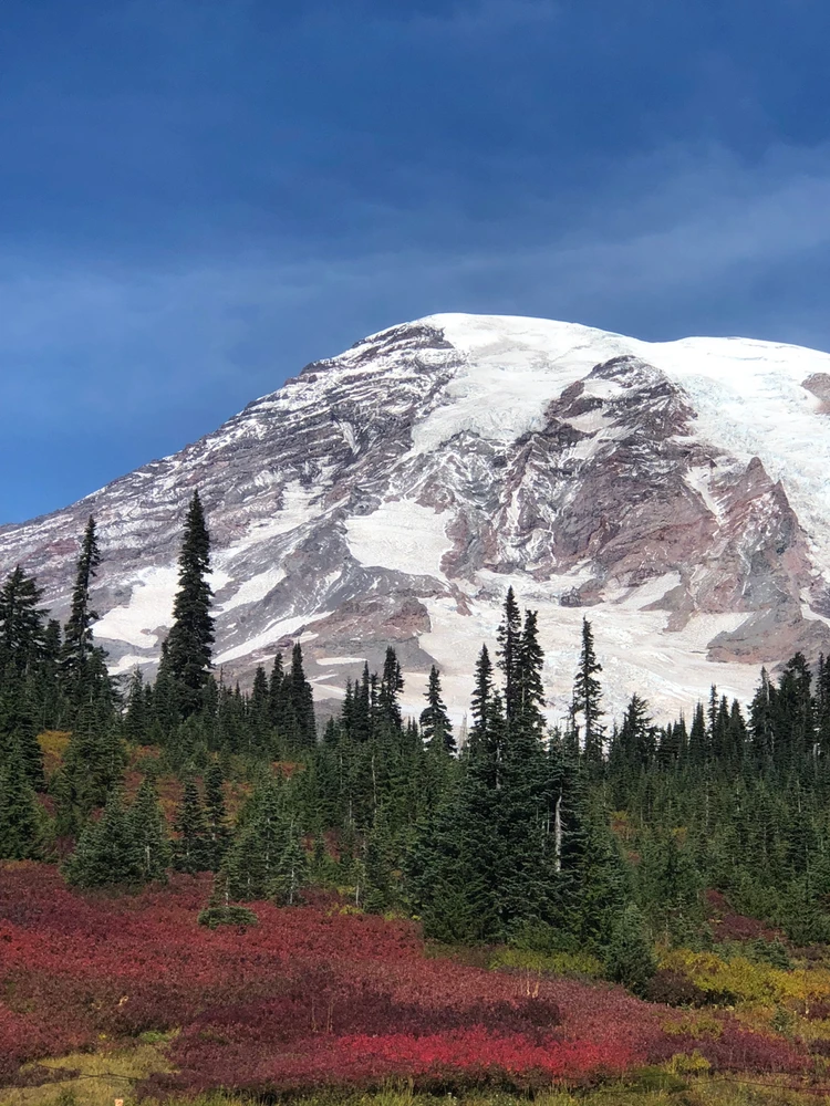 Mount Rainer