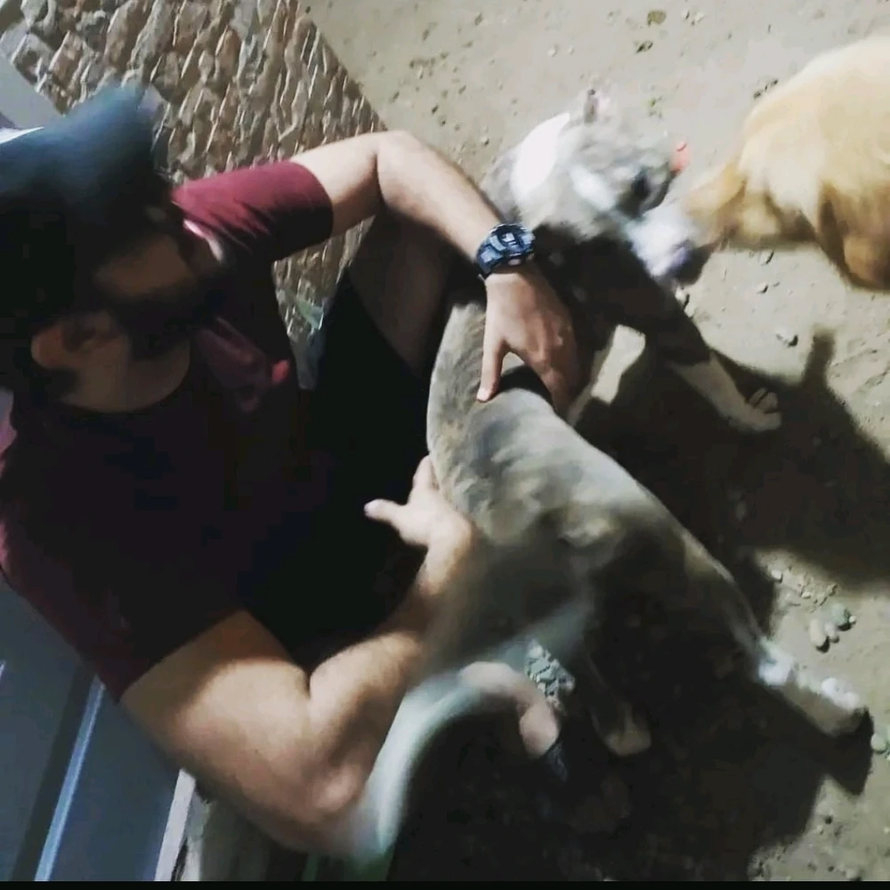 Imagen subida por Robert Espinal