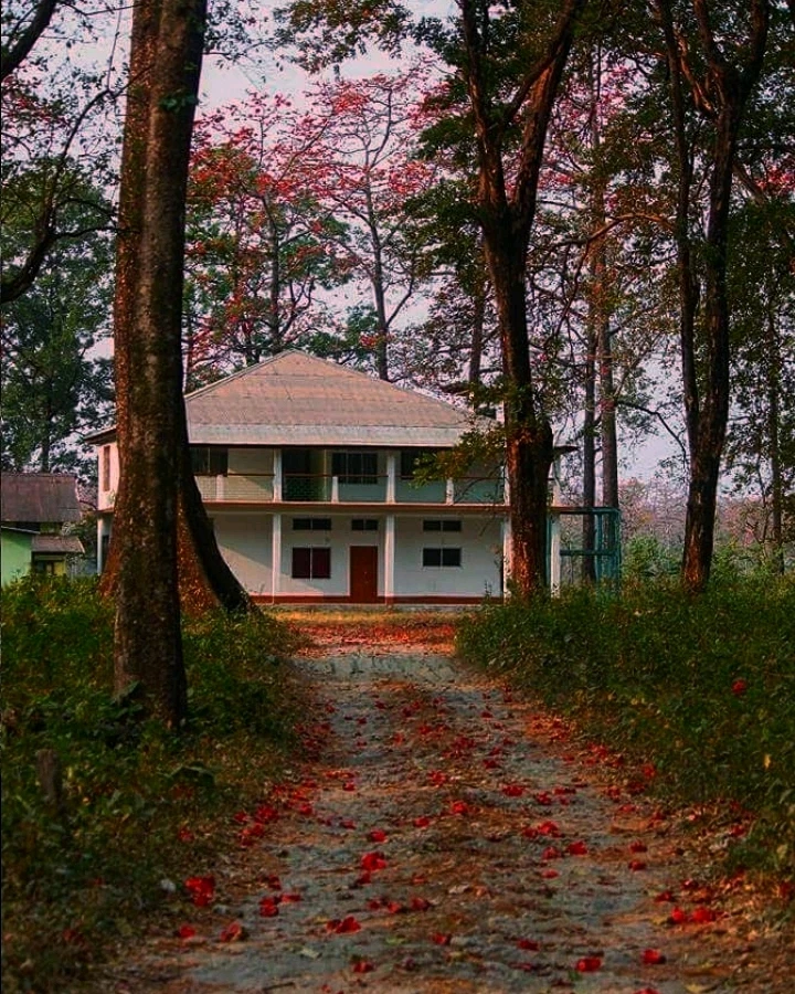 Image uploaded by Tasu