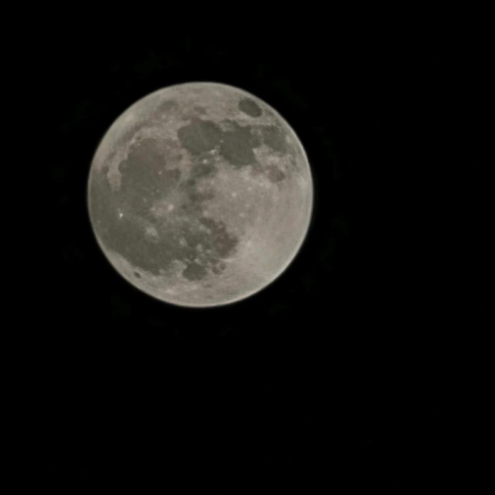 Image uploaded by Ahmed