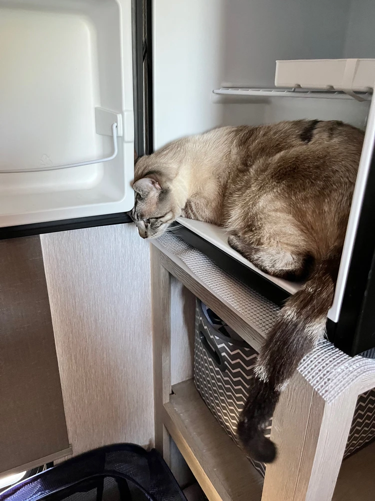 Image uploaded by Myla