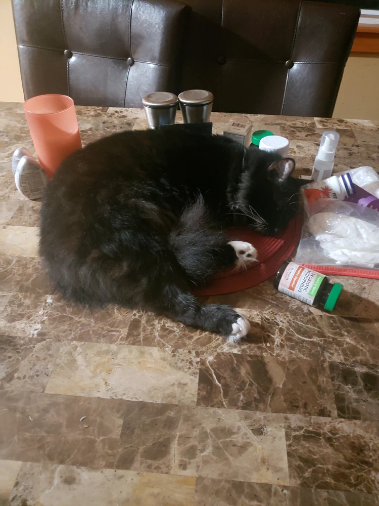 Image uploaded by Joey